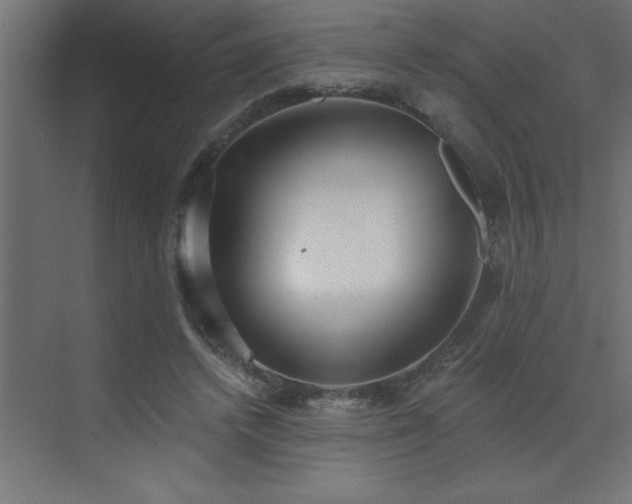 X0000072970448200607211227