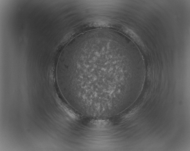 X0000072970449200607211227