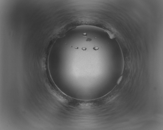 X0000072970450200607211227