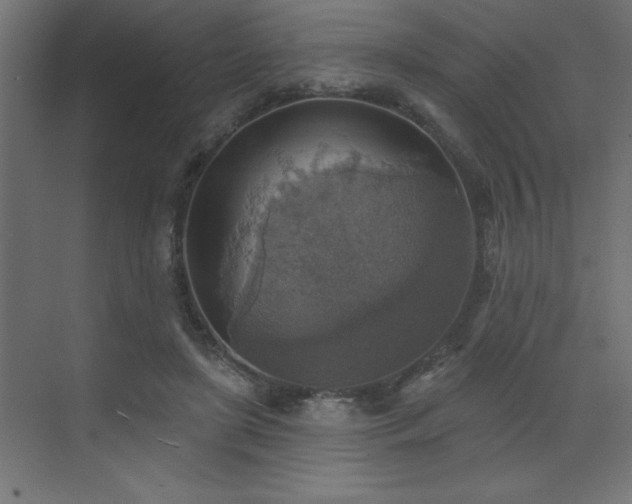 X0000072970451200607211227