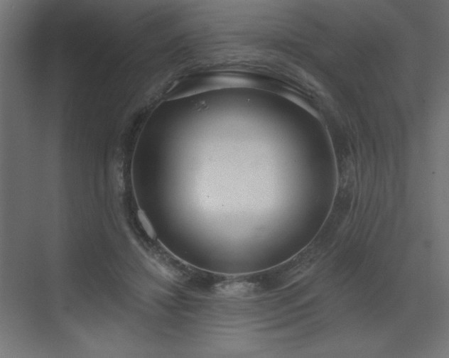 X0000072970452200607211227