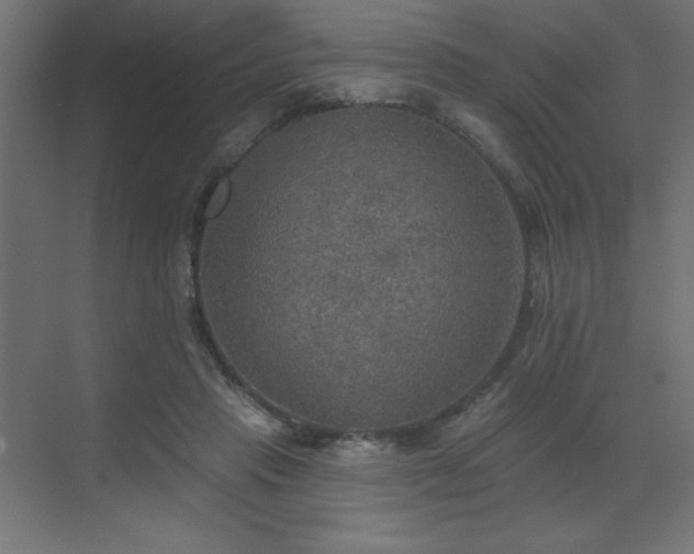 X0000072970453200607211227