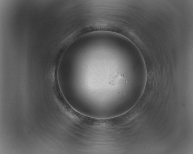 X0000072970454200607211227