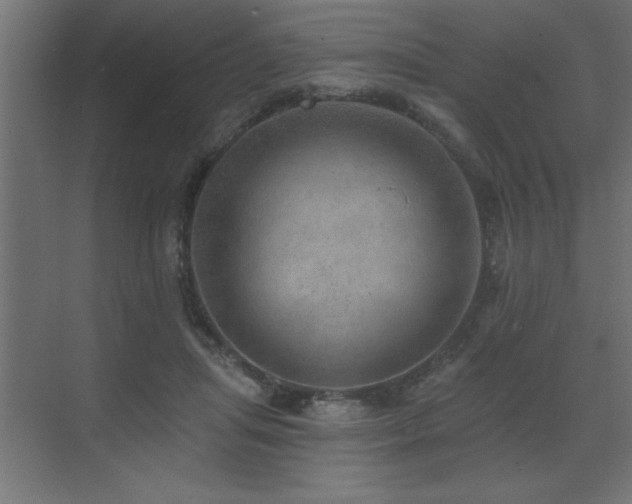 X0000072970455200607211228