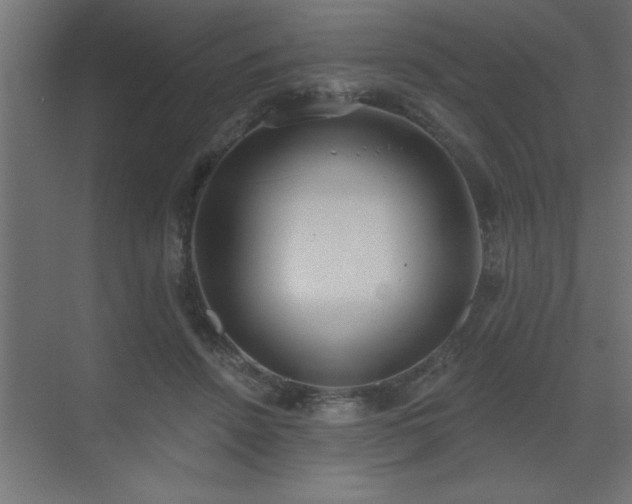 X0000072970456200607211228