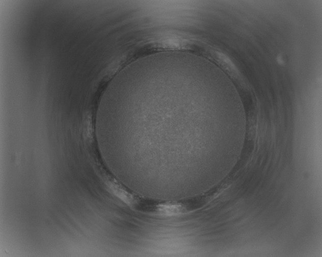 X0000072970457200607211228