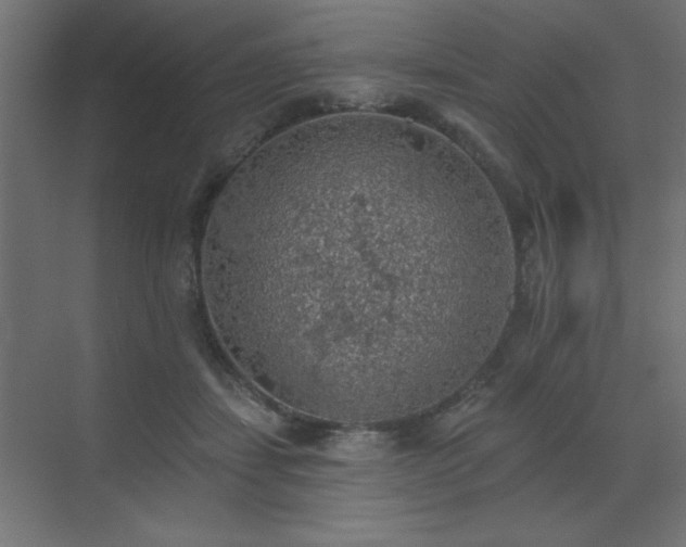 X0000072970459200607211228