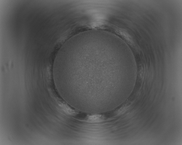 X0000072970461200607211228