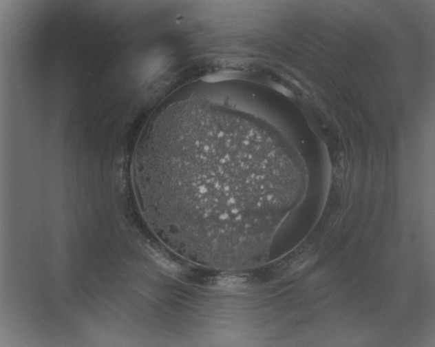 X0000072970462200607211228