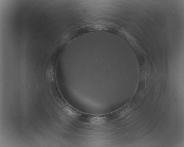 X0000072970465200607211228