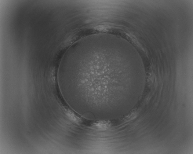 X0000072970466200607211228