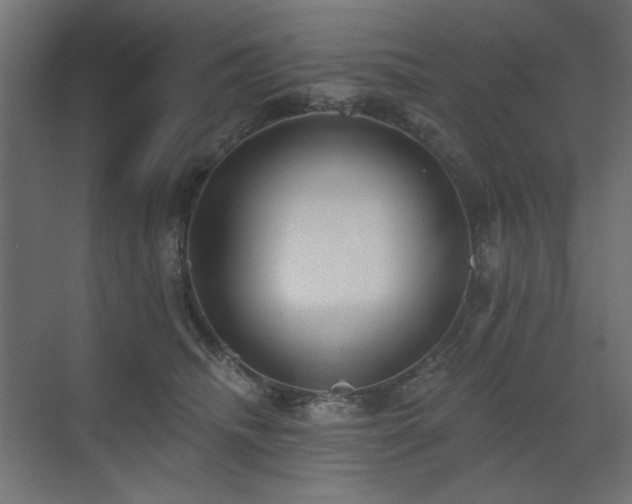 X0000072970468200607211228