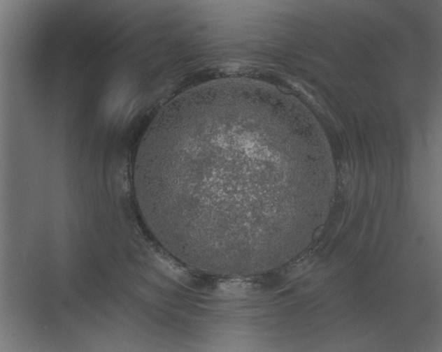 X0000072970470200607211228