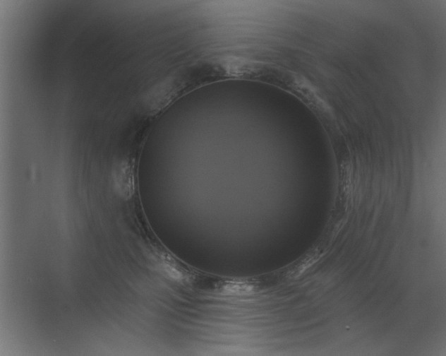 X0000072970471200607211228