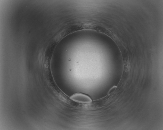 X0000072970472200607211228