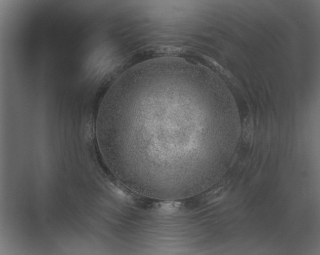 X0000072970474200607211228