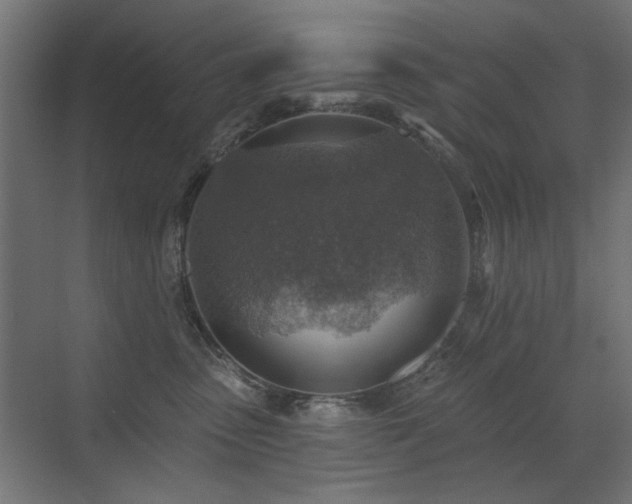 X0000072970475200607211228