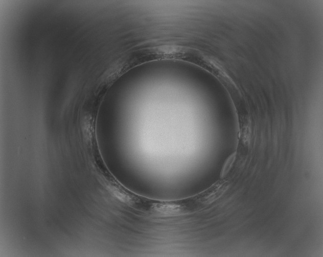 X0000072970476200607211228