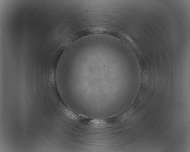 X0000072970477200607211228