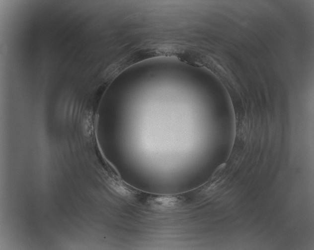 X0000072970478200607211228