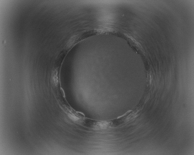 X0000072970479200607211228