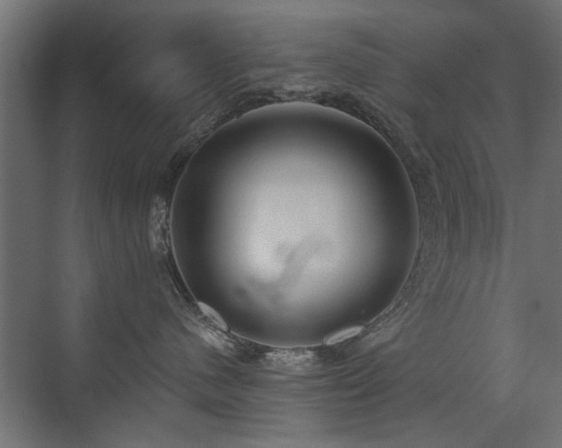 X0000072970480200607211228