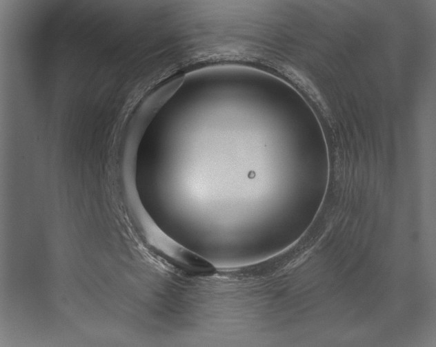 X0000072970481200607211227