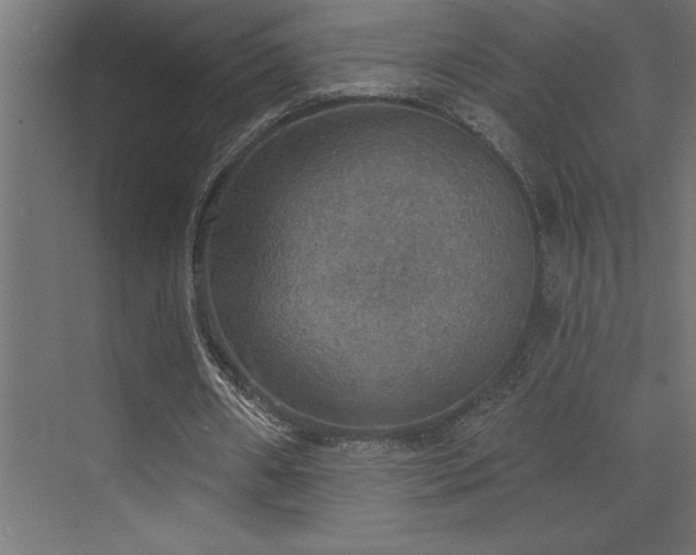 X0000072970482200607211227