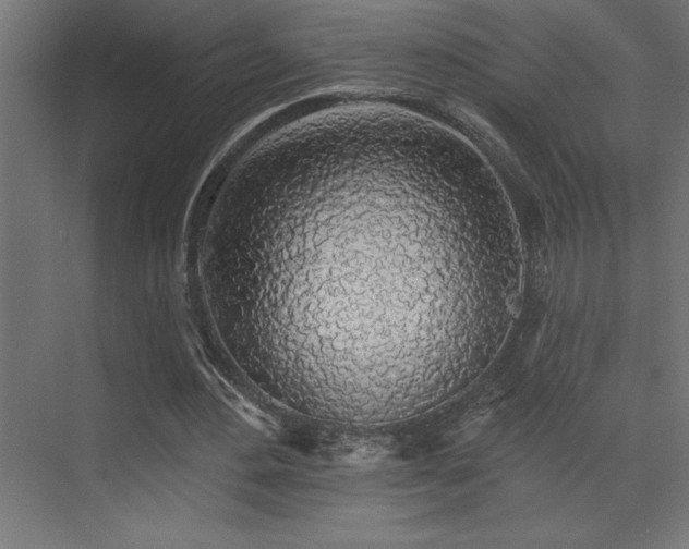 X0000072970484200607211227