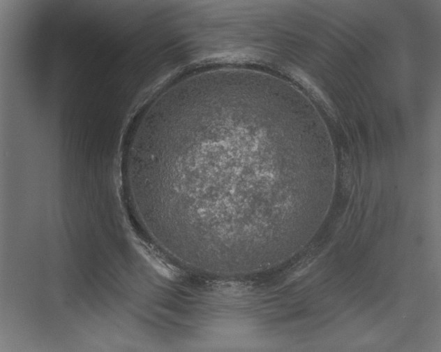 X0000072970486200607211227