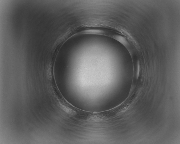 X0000072970489200607211227