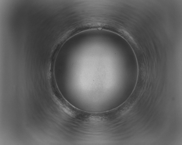 X0000072970490200607211227