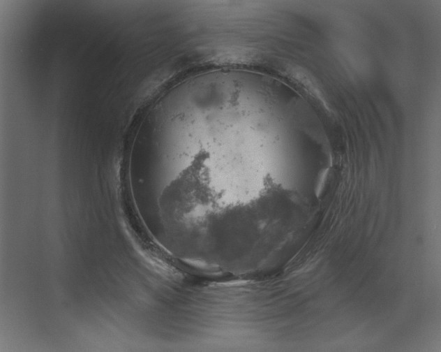 X0000072970491200607211227