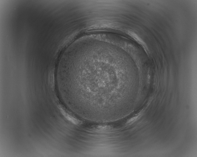 X0000072970493200607211227