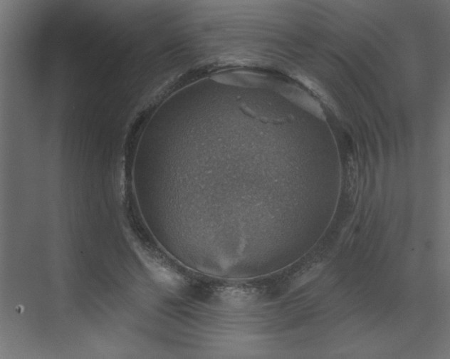 X0000072970494200607211227