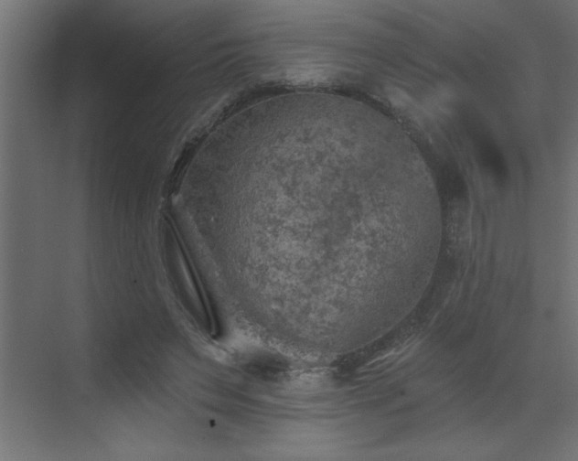 X0000072970495200607211227