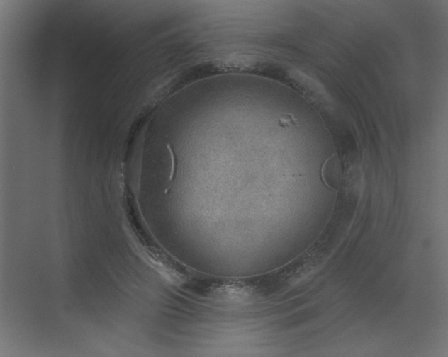 X0000072970498200607211227