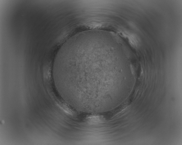 X0000072970499200607211227