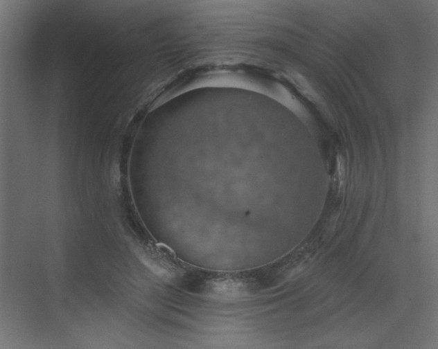 X0000072970500200607211227