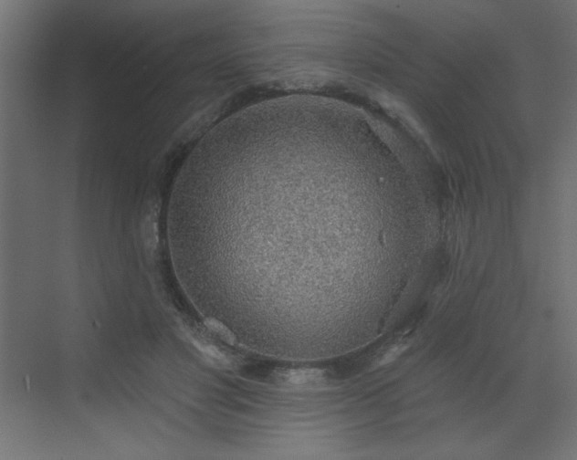 X0000072970501200607211227