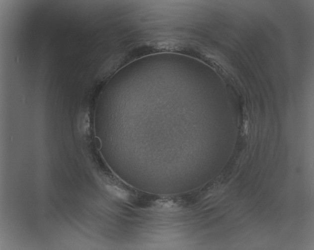 X0000072970502200607211227