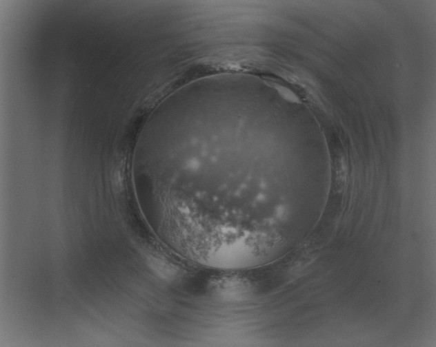 X0000072970503200607211227