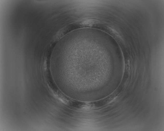 X0000072970504200607211227