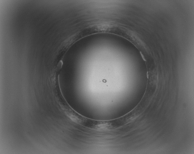 X0000072970505200607211227