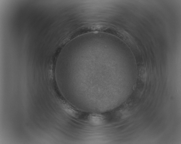 X0000072970510200607211227