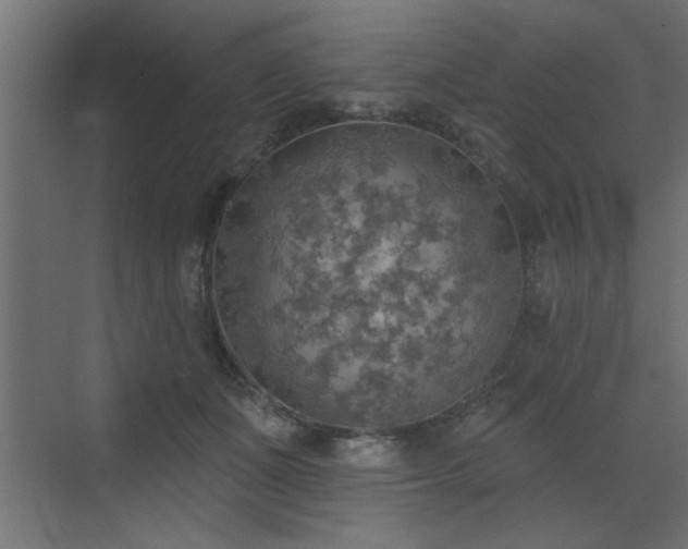 X0000072970511200607211227