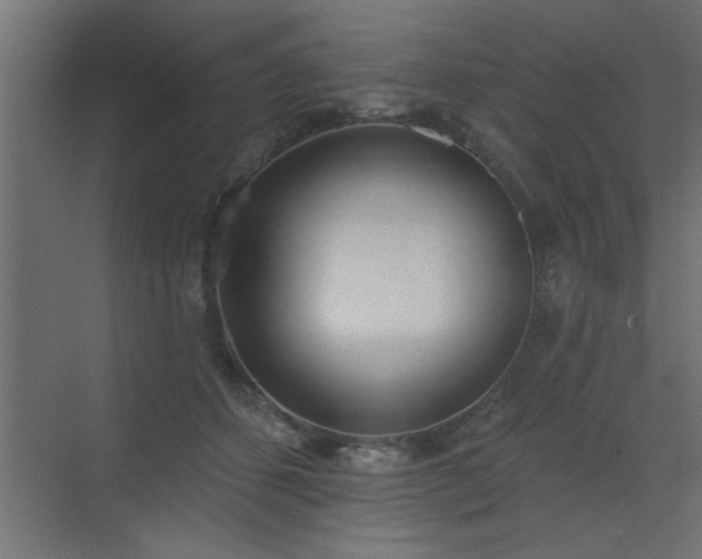 X0000072970512200607211227