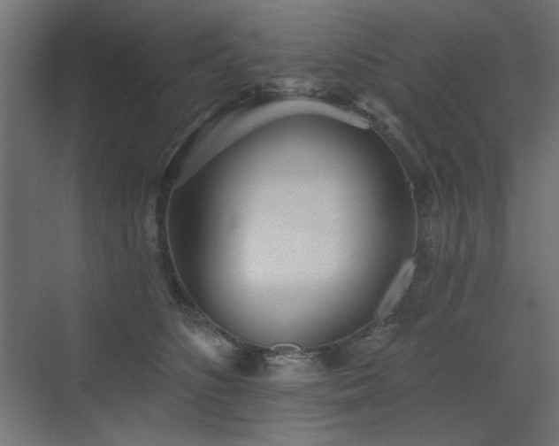 X0000072970516200607211227