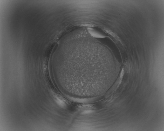 X0000072970517200607211227