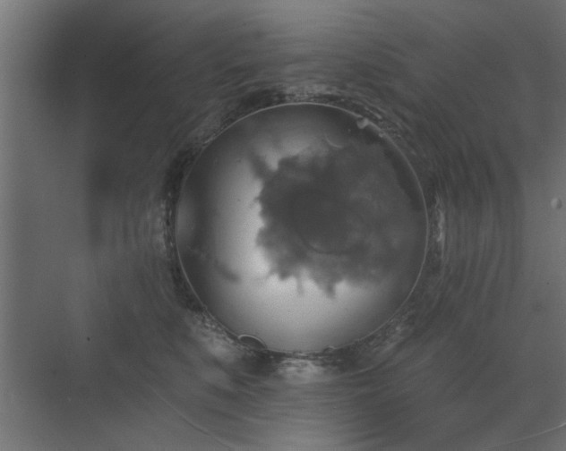 X0000072970519200607211226